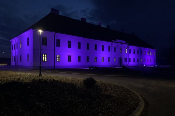 Slavonski Brod priključio se obilježavanju Međunarodnog dana epilepsije